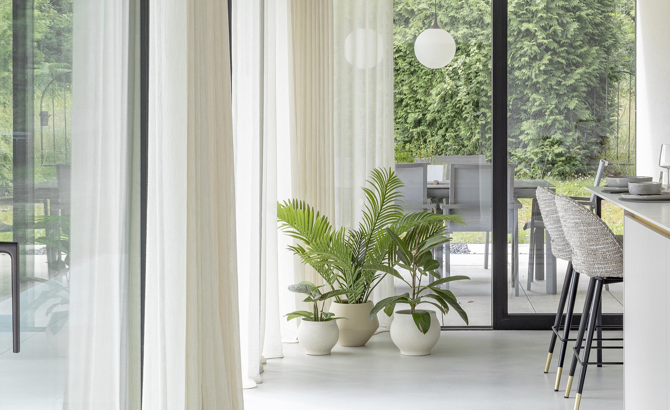 cuisine contemporaine et plantes