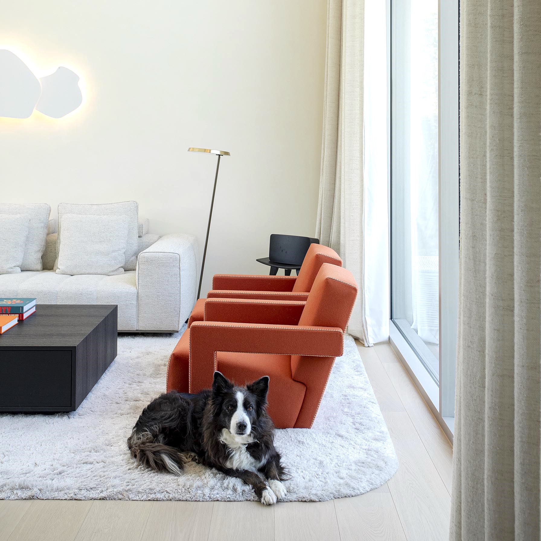 salon contemporain 2 fauteuils oranges, chien couché