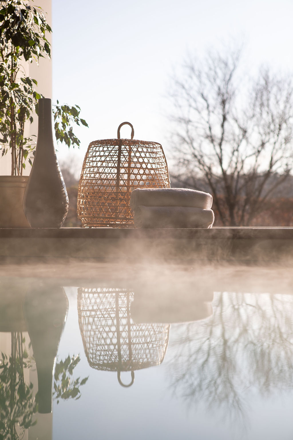 Piscine intérieure haut de gamme, contemporaine, bardage bois
