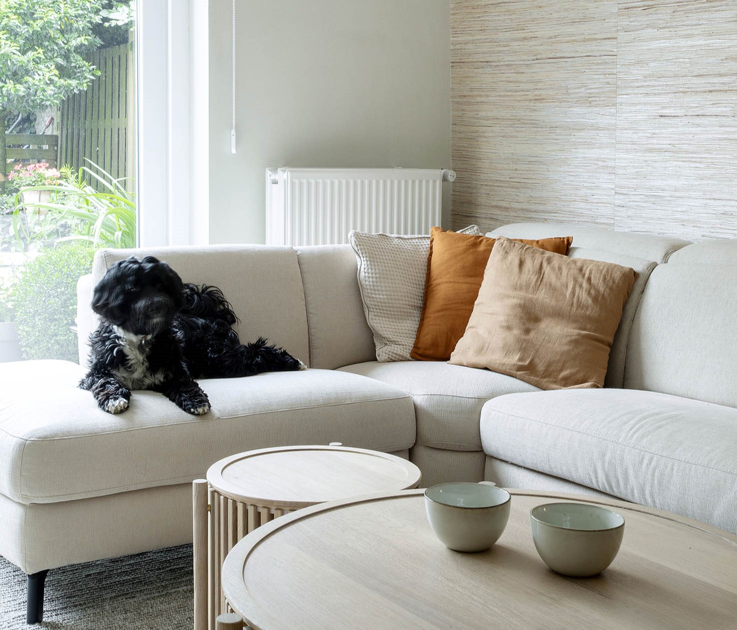 Salon canapé contemporain cousins, chien noir